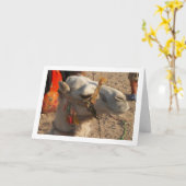 Witte Kameel in Woestijn Kaart (Gele Bloem)