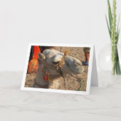 Witte Kameel in Woestijn Kaart (Voorkant)