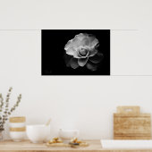 witte kamellia BW Poster (Keuken)
