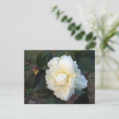 witte kamellietbloem briefkaart (Staand voorkant)