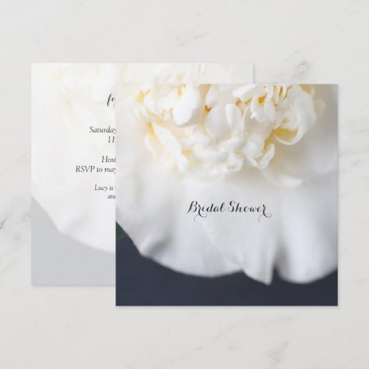 Witte kamellietbloem kaart (Voorkant / Achterkant)