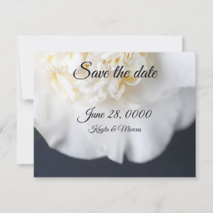 Witte kamellietbloem save the date