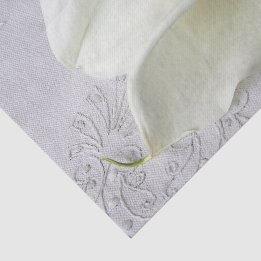 Witte kammeling op linnen  tissuepapier (Detail)