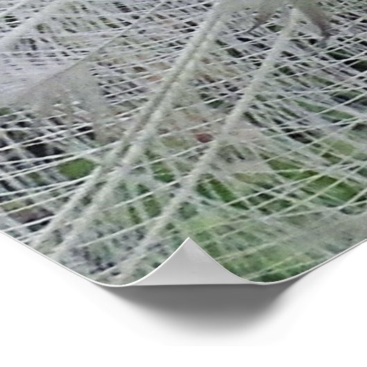 Witte kantposter poster (Hoek)