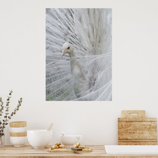 Witte kantposter poster (Keuken)