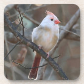 witte kardinaal bier onderzetter (Voorkant)