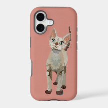 WITTE KAT