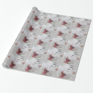 Witte kat, 40ste verjaardag, cadeauomslag. cadeaupapier