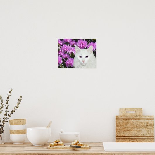 Witte kat azaleas poster (Keuken)