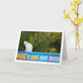 Witte Kat bij Zwembad Kaart (Gele Bloem)