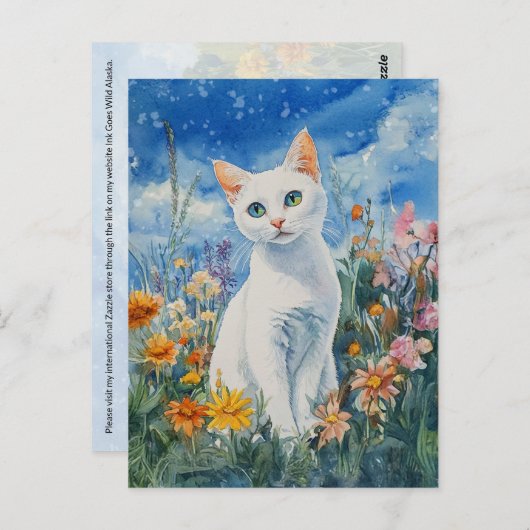 Witte kat - Briefkaart (Voorkant / Achterkant)