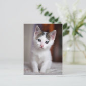 Witte Kat Briefkaart (Staand voorkant)