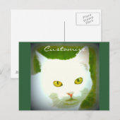 Witte kat briefkaart (Voorkant / Achterkant)