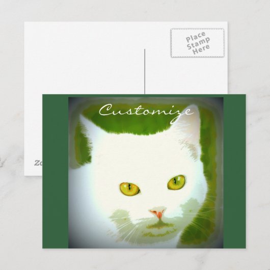 Witte kat briefkaart (Voorkant / Achterkant)