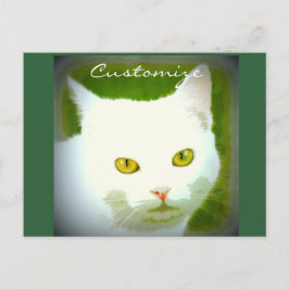 Witte kat briefkaart