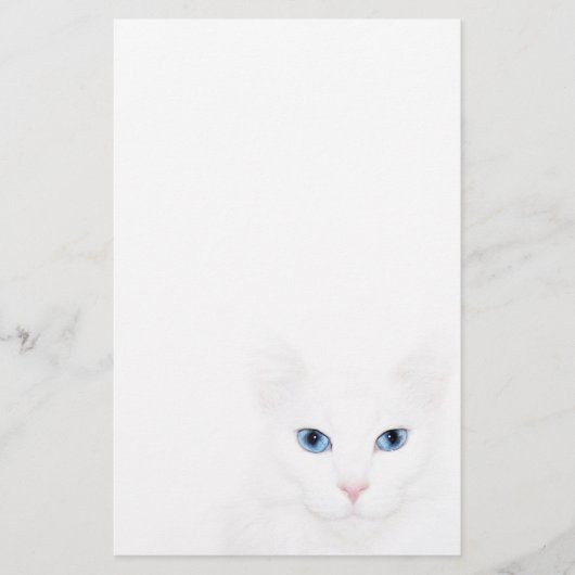 Witte kat briefpapier (Voorkant)