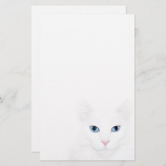 Witte kat briefpapier (Voorkant / Achterkant)