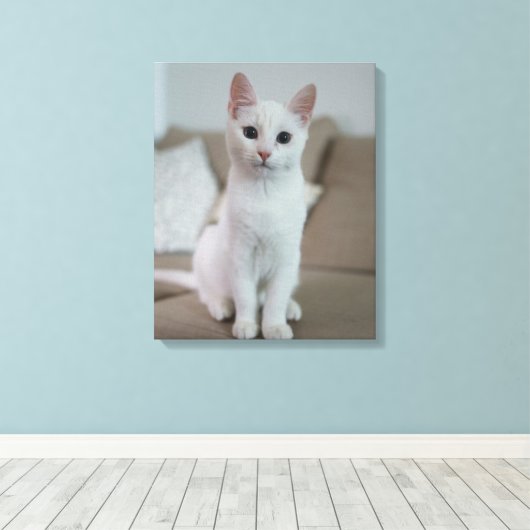 witte kat canvas afdruk (Insitu (Houten vloer))