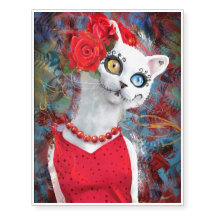 Witte kat, dag van de doden