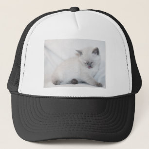 Witte kat die zichzelf groomt trucker pet