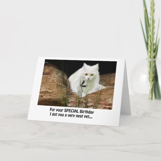 Witte kat en libel bijgesneden, verjaardagstekst . kaart (Voorkant)