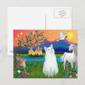 Witte kat - Fantasy Land Briefkaart (Voorkant / Achterkant)
