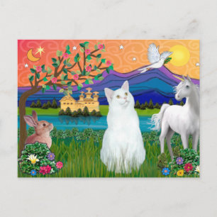 Witte kat - Fantasy Land Briefkaart