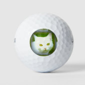 witte kat golfballen (Voorkant)