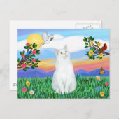 Witte kat - Helder leven Briefkaart (Voorkant / Achterkant)