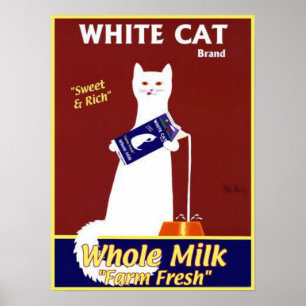 Witte kat hele melk poster