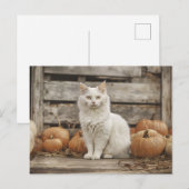 Witte Kat  Herfst Pompoenen Briefkaart (Voorkant / Achterkant)