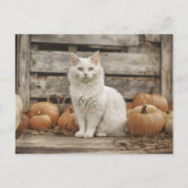 Witte Kat  Herfst Pompoenen Briefkaart (Voorkant)