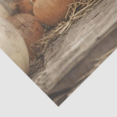 Witte Kat Herfst Pompoenen Decoupage Tissuepapier (Detail)