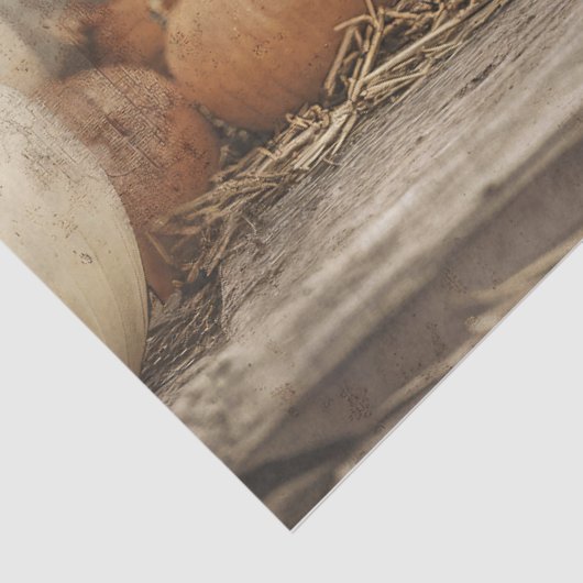 Witte Kat Herfst Pompoenen Decoupage Tissuepapier (Detail)