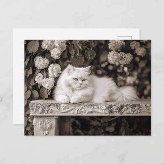Witte kat in de bloementuin briefkaart (Voorkant / Achterkant)