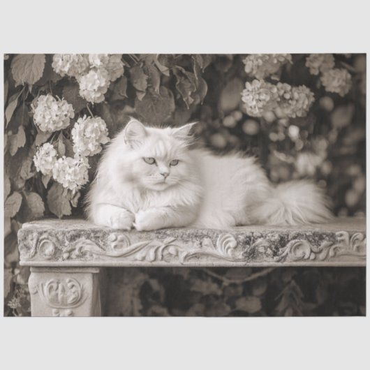 Witte kat in de bloementuin Decoupage Tissuepapier (Voorkant)
