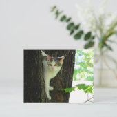 Witte kat in de boom briefkaart (Staand voorkant)
