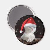 Witte kat in het Pet van Santa Claus Magneet (Voorkant / Achterkant)