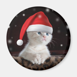 Witte kat in het Pet van Santa Claus Magneet