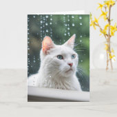 Witte kat in regenachtig venster wordt snel goed kaart (Gele Bloem)