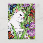 Witte kat jaagt op vlinders uit bloemen briefkaart (Voorkant)