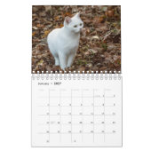 Witte kat kalender (Jan 2027)