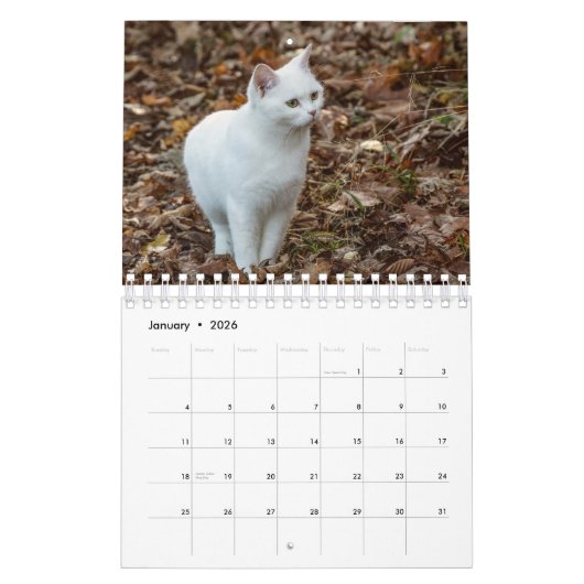 Witte kat kalender (Jan 2026)
