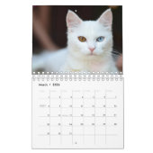 Witte kat kalender (Mar 2026)