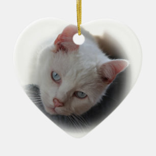 Witte kat keramisch ornament