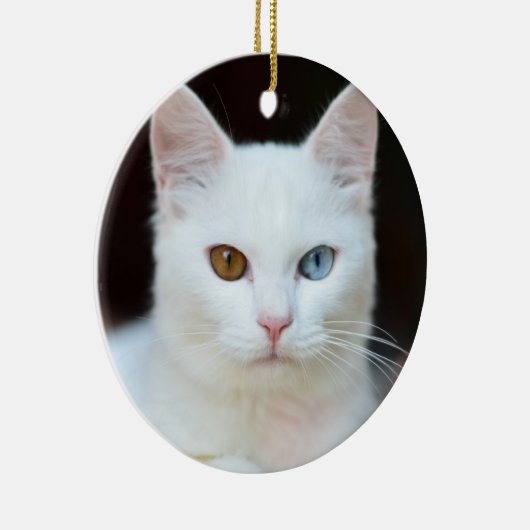 Witte kat keramisch ornament (Rechts)