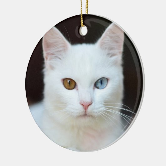 Witte kat keramisch ornament (Links)