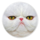 Witte kat keramische knop (Voorkant)