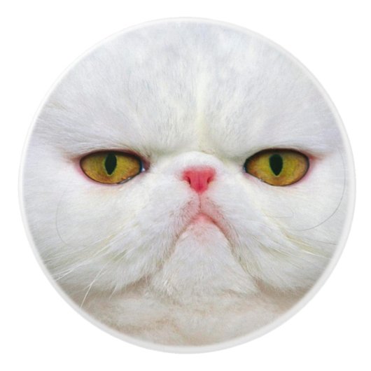 Witte kat keramische knop (Voorkant)