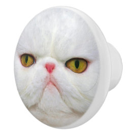 Witte kat keramische knop